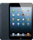 iPad mini 2