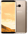 S8 Plus